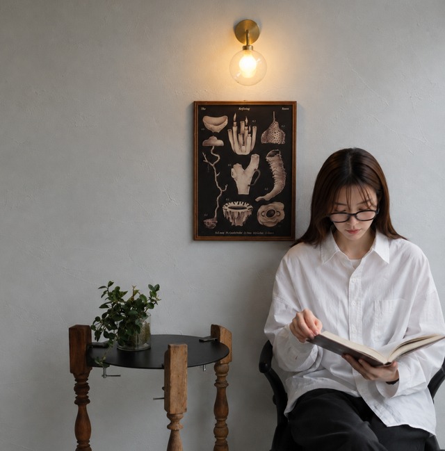 Ballm bracket lamp