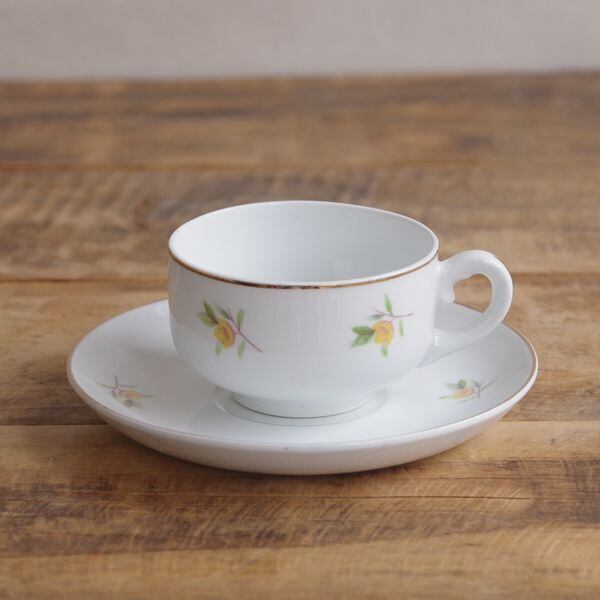 超希少！マリアンネフオタリサボテンの花陶器置物アラビア