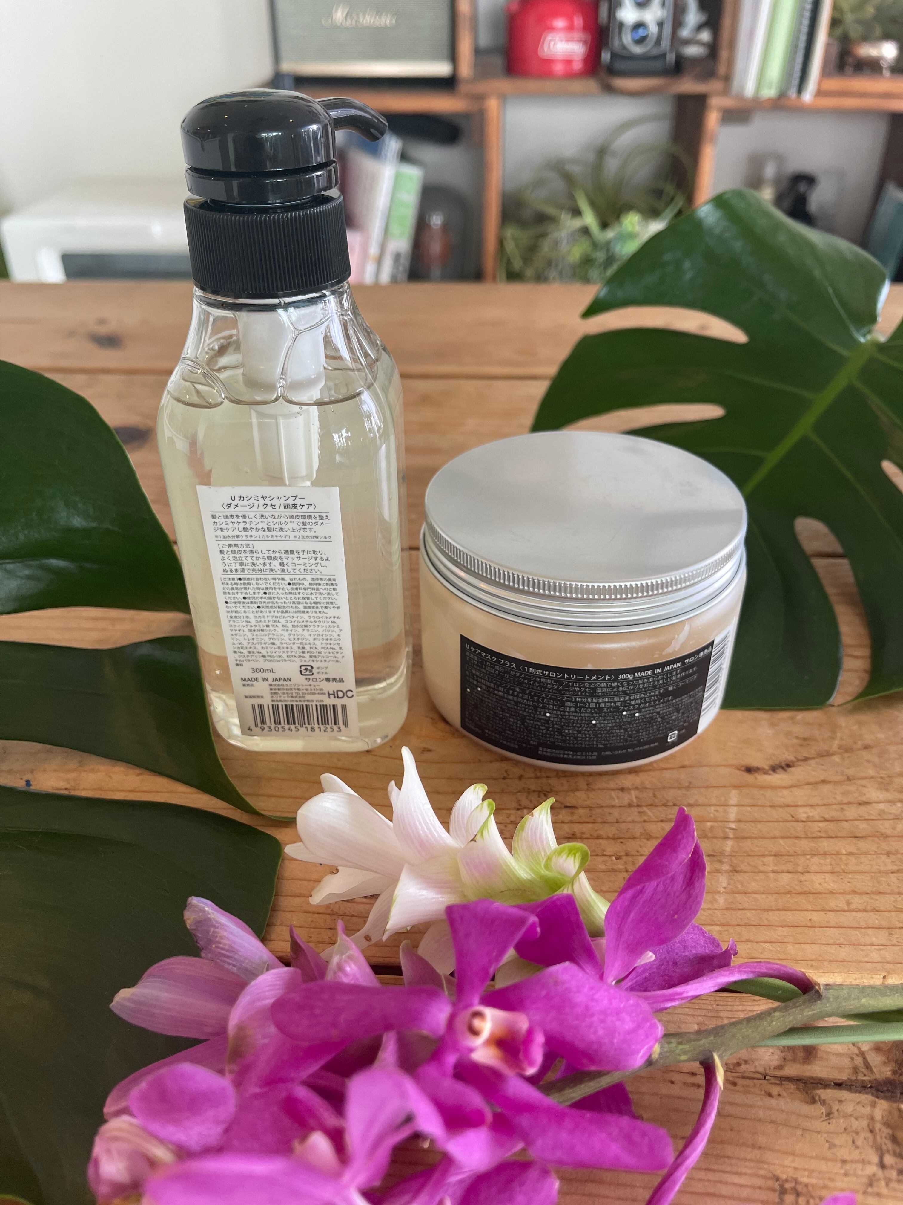 髪質改善できる エリアシャンプー約3ヶ月分 エリアトリートメントex 重め 約半年分 6380円 5980円 髪質改善 白髪染め専門店 エリア