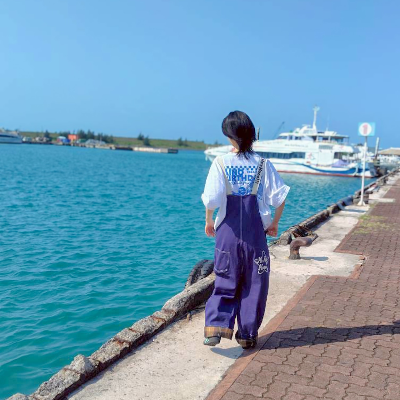 WAIT… DINOSAUR & SHARK? Overalls 「恐竜とサメ？」と聞かれる恐竜＆サメ刺繍 チェック切替ゆるだぼサロペット【細身も安心のキャラ立ち】 - 4