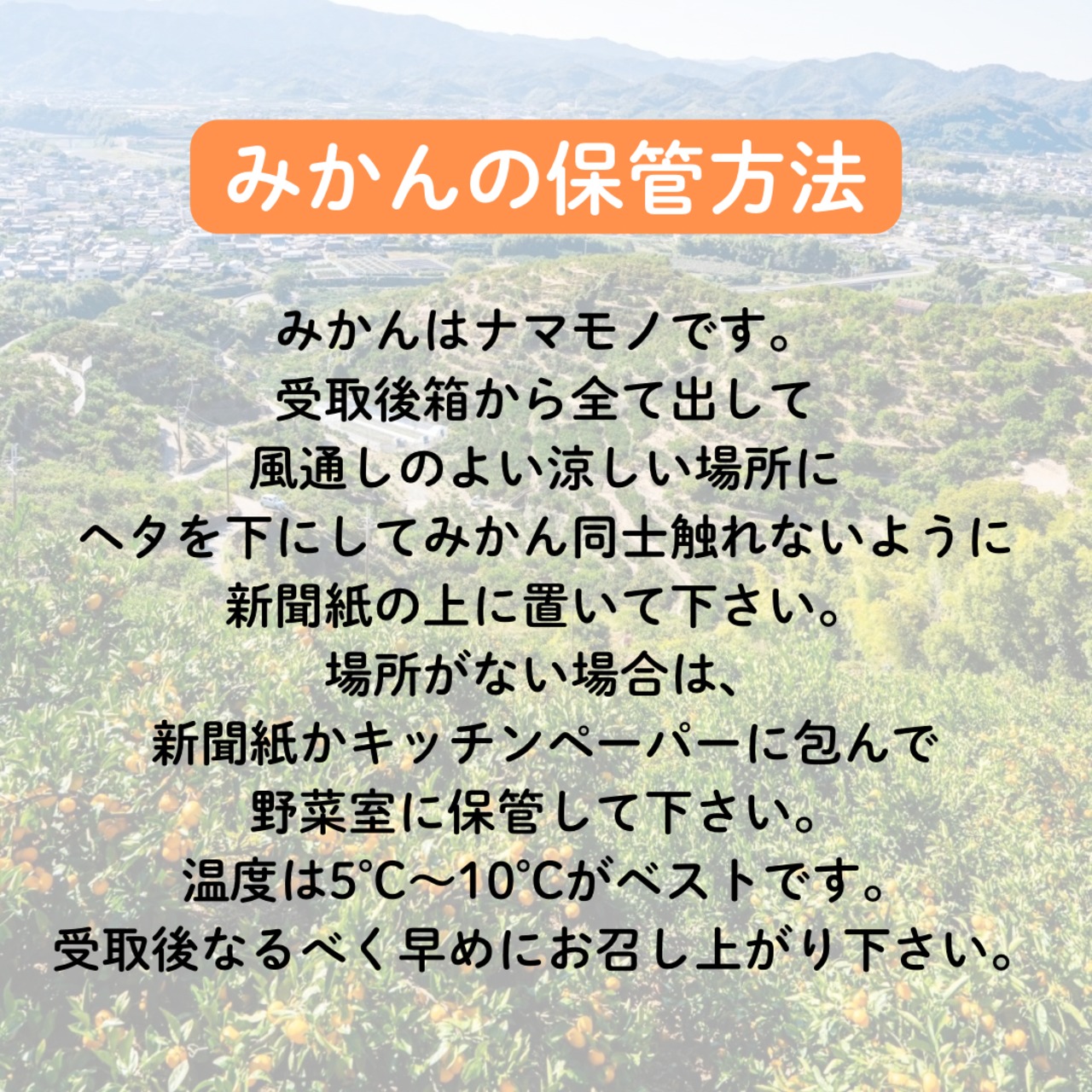 ポンカン（3kg）