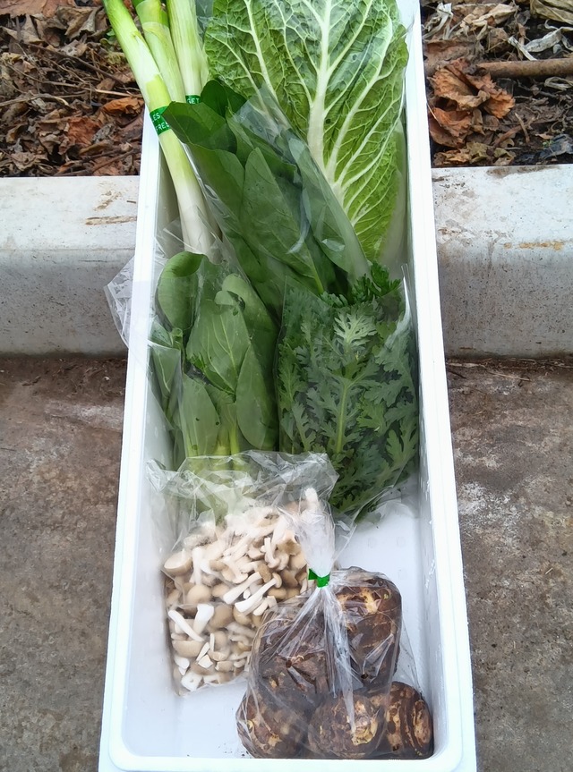 限定鍋セット～白菜・里芋・キノコと長ネギをメインに