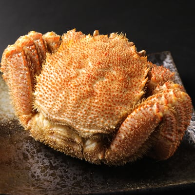 白老・前浜産 冷凍毛かに (特特大・約500~550g)