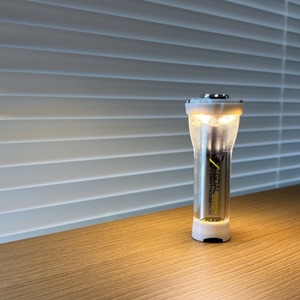 【限定カラー】Goal Zero Lighthouse Micro Flash