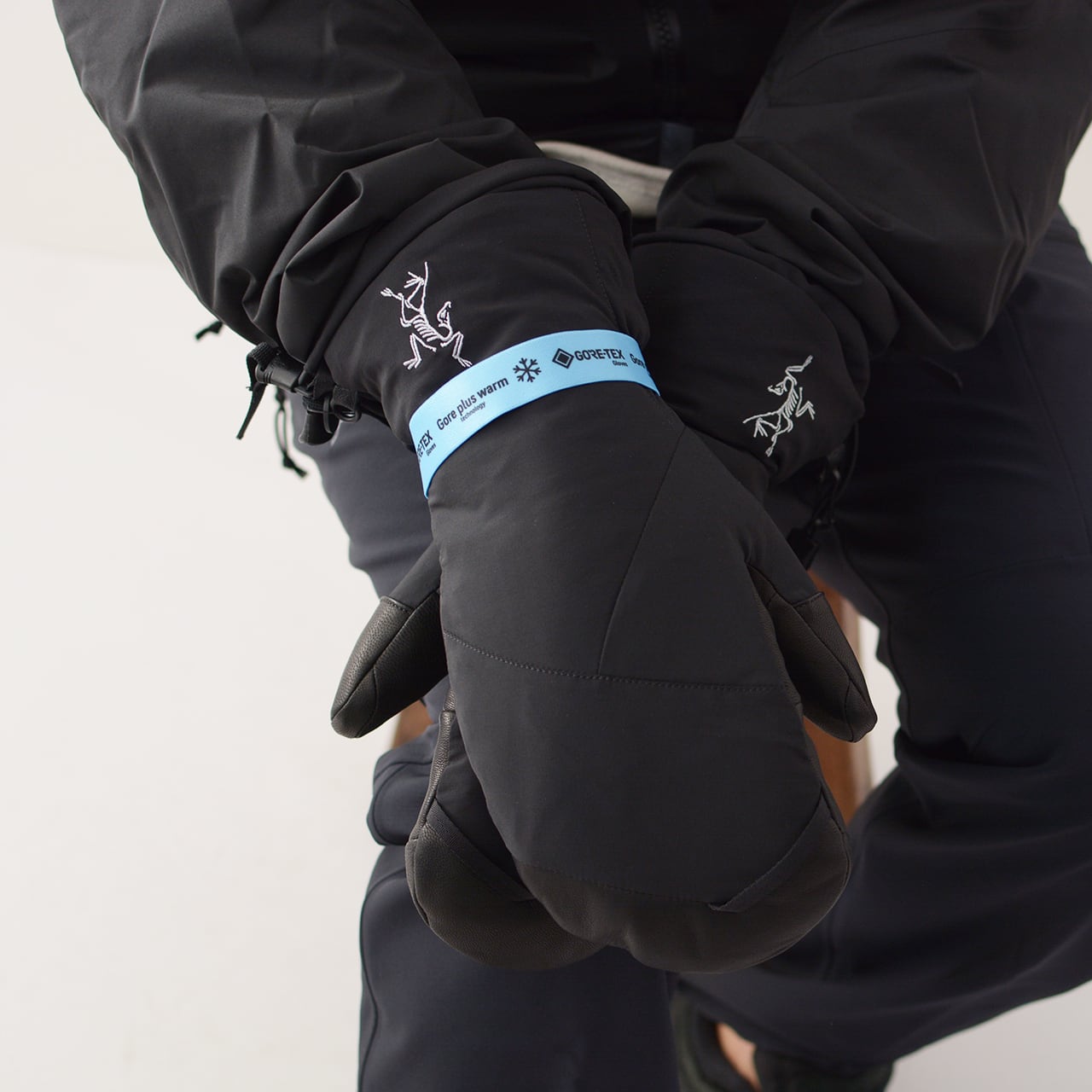 ARC'TERYX [アークテリクス] Fission SV Mitten [30003]フィション SV