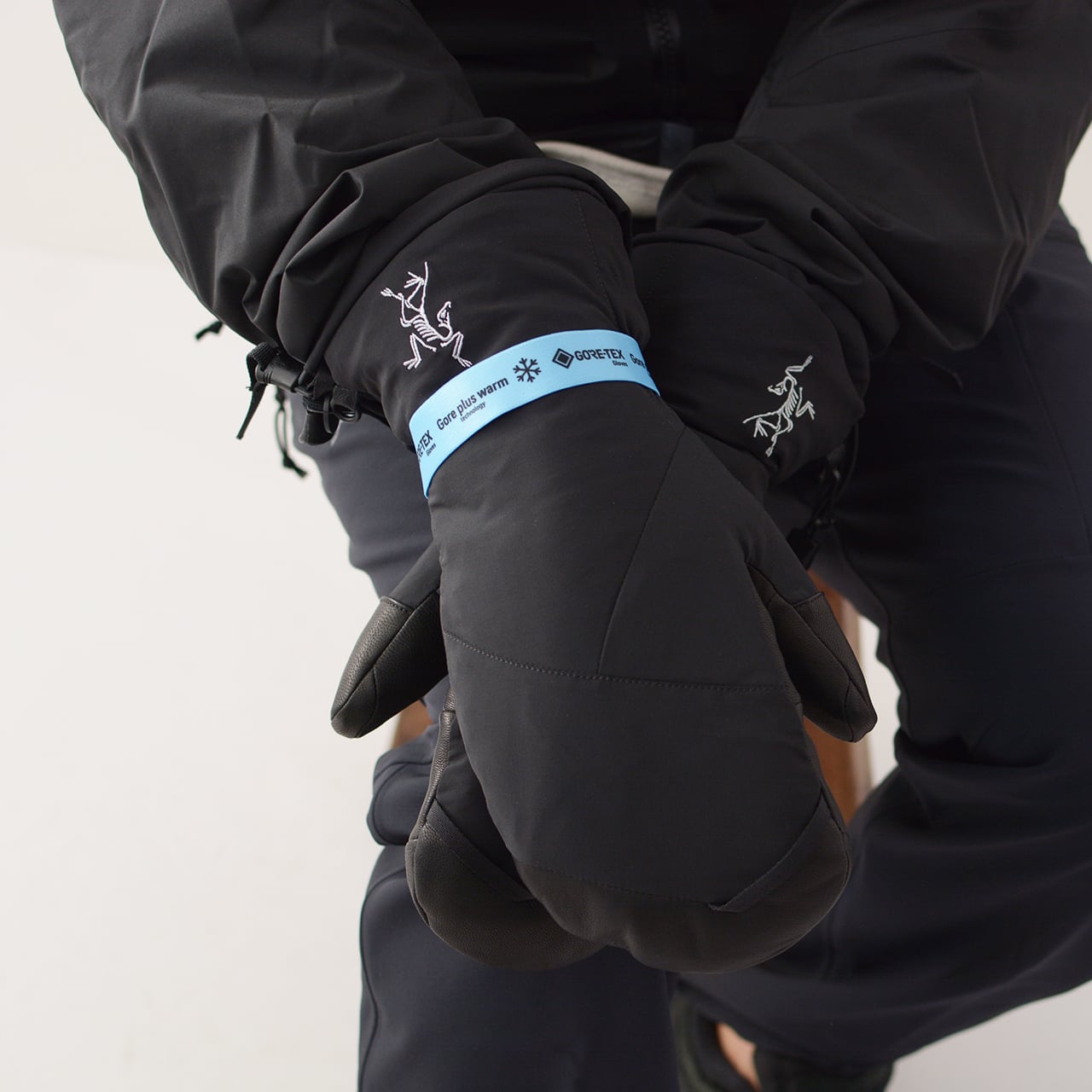 ARC'TERYX [アークテリクス] Fission SV Mitten [30003/06527