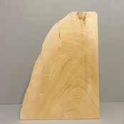 木の結婚証明書｜トチ｜No.780