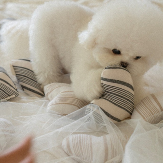 予約 【pecoramou select】Love Love Puppy Toy