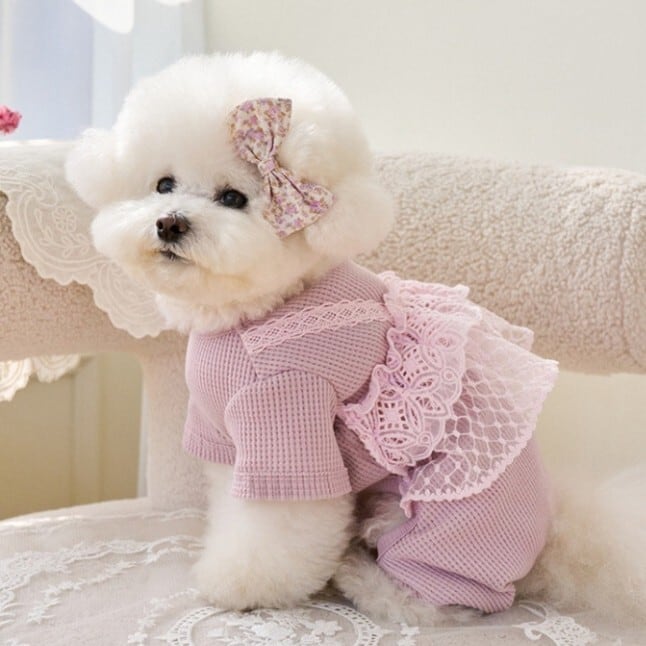 すぐにお届け】犬服 レースフリルキャミ重ね着風ロンパース トップス