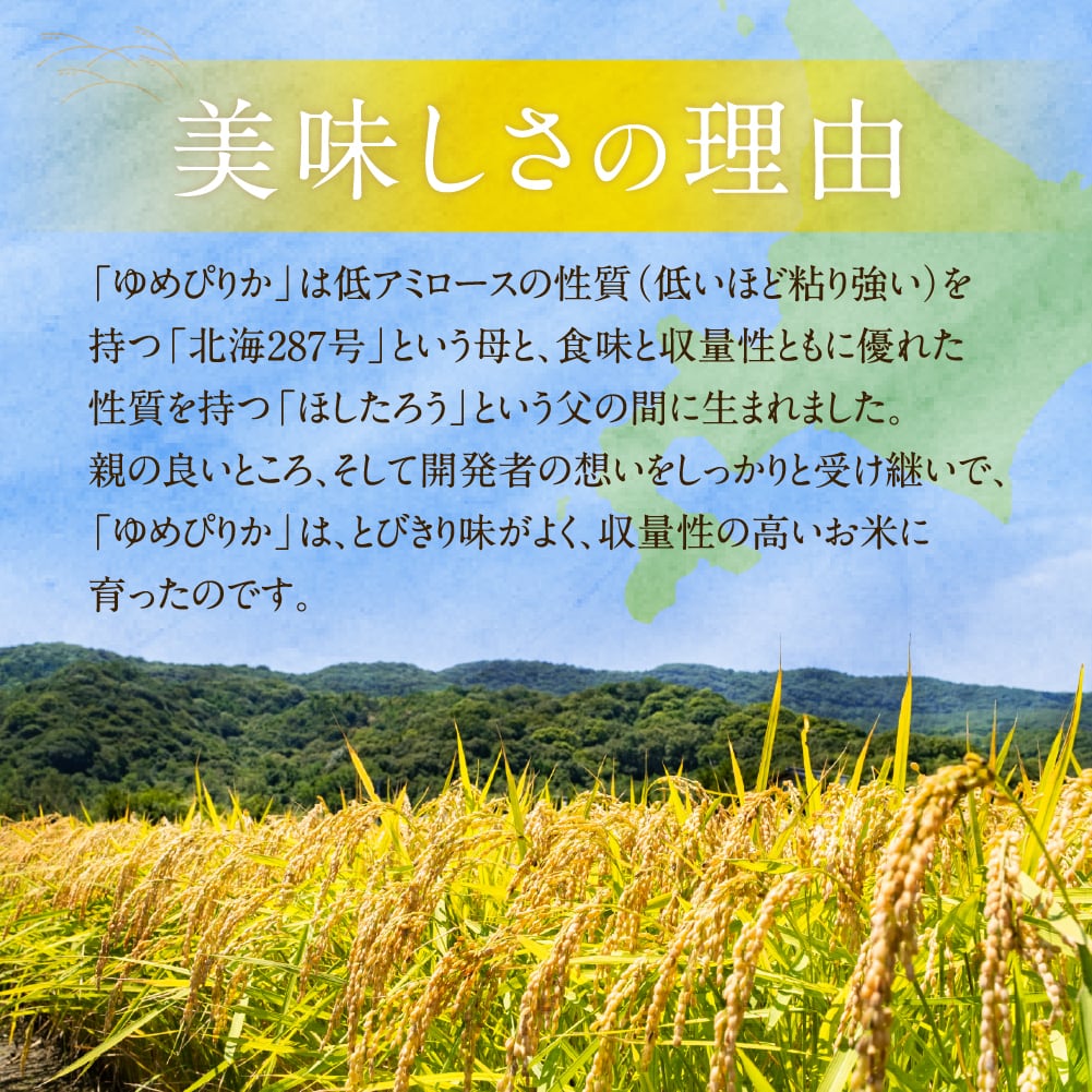 人気銘柄2kg 北海道産ゆめぴりか【精米済】慣行栽培【令和7年産】