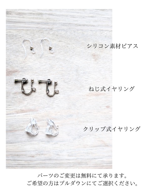 Earrings / hoop