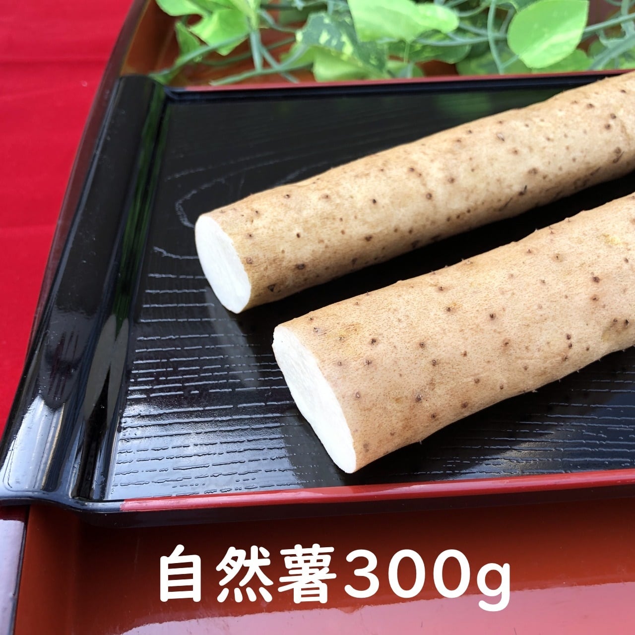 静岡県産 自然薯 300g 下処理済 冷蔵 | 山の貴婦人公式オンライン