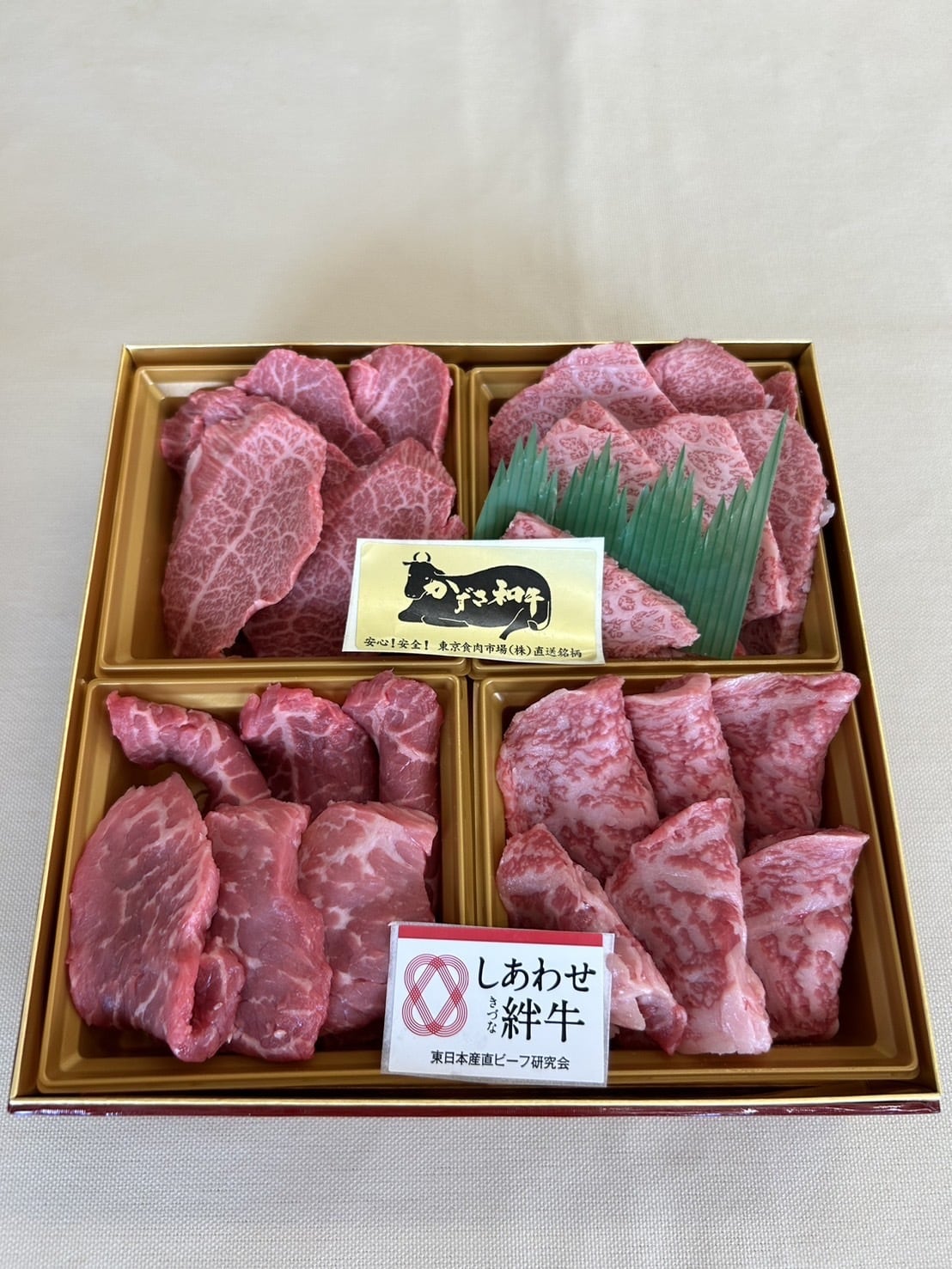 調印式記念 千葉県産 豪華お肉セット（かずさ和牛&しあわせ絆牛