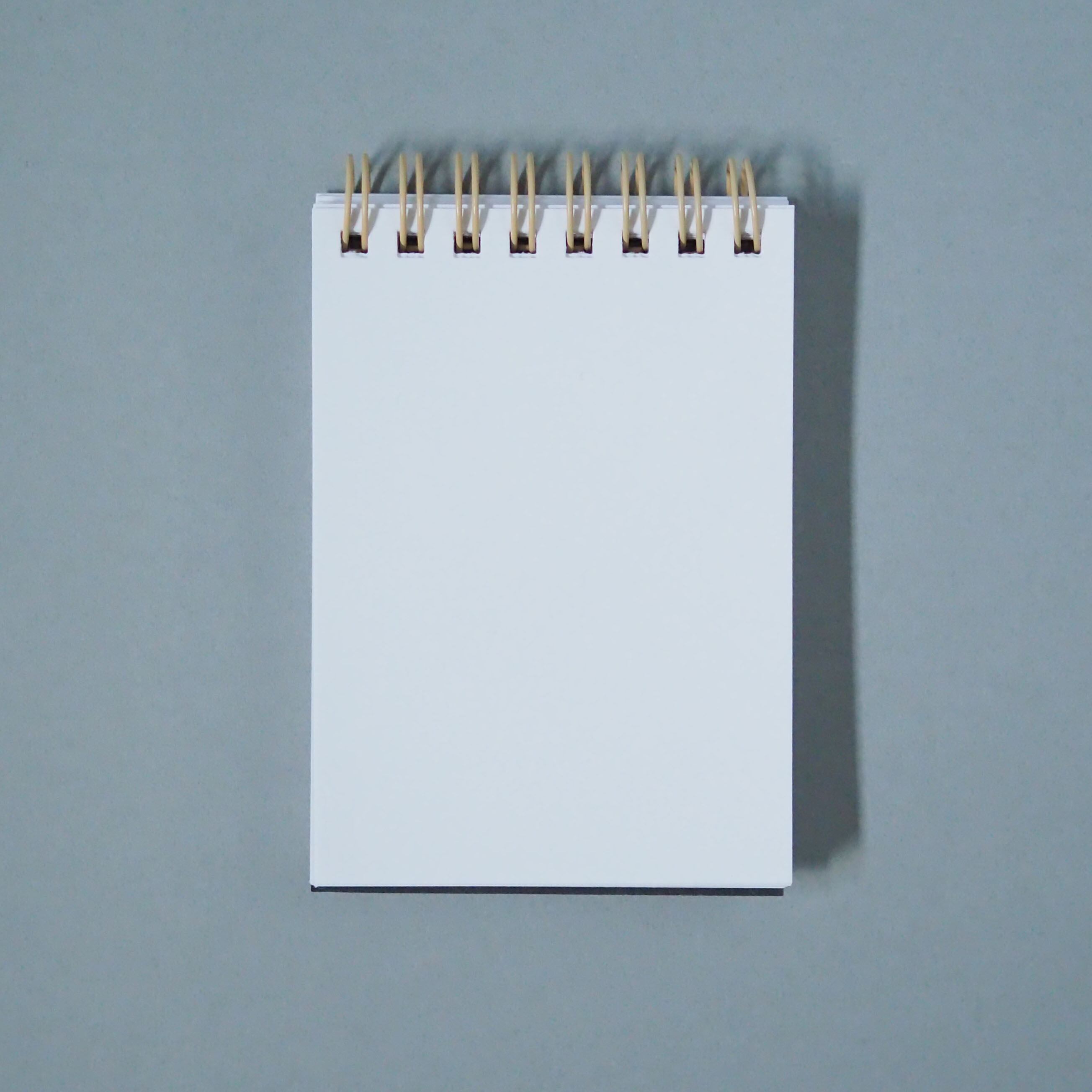 それっぽく見えるメモ帳【スイカ】 | 中村活版印刷所