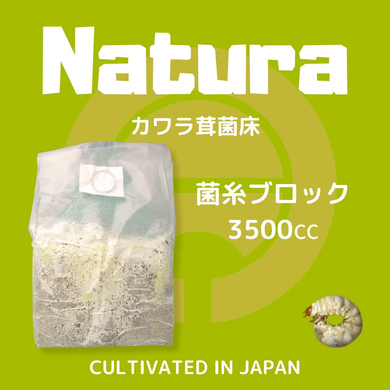 月夜野きのこ園製 N-カワラBlock | なかよしめだか「くわかぶ部」