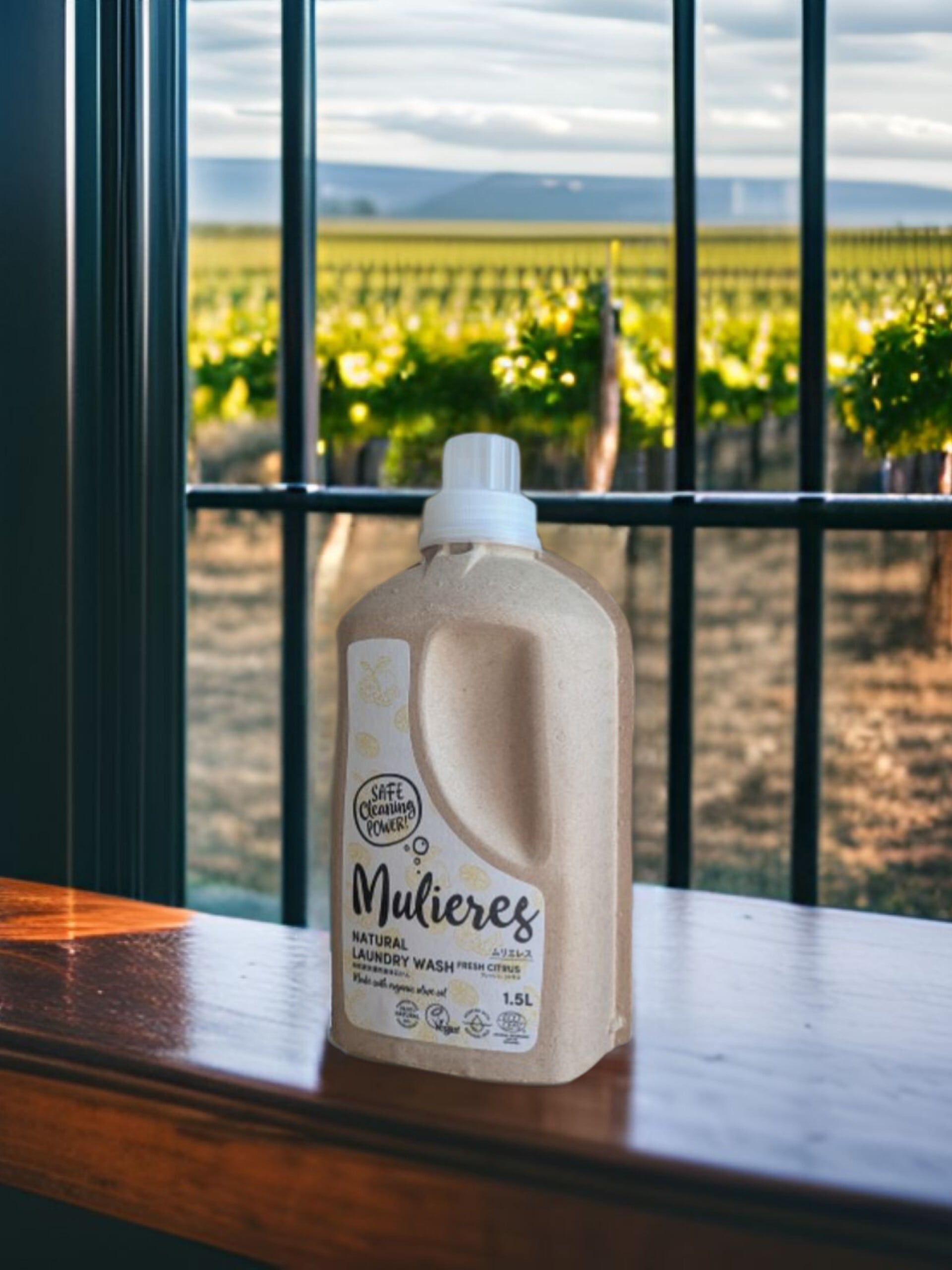 無添加 自然派オーガニック 洗濯洗剤 ムリエレス（フレッシュシトラス