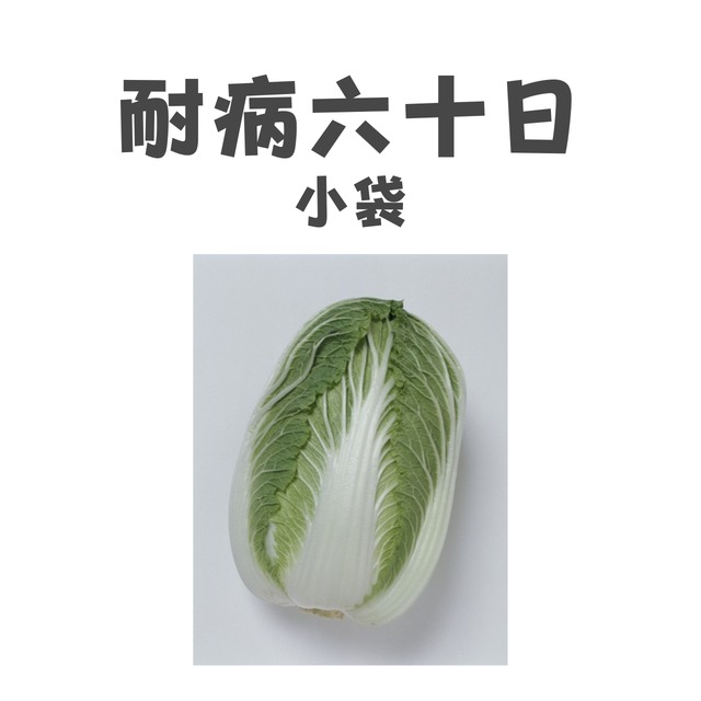 耐病六十日　ハクサイ種子・DF小袋
