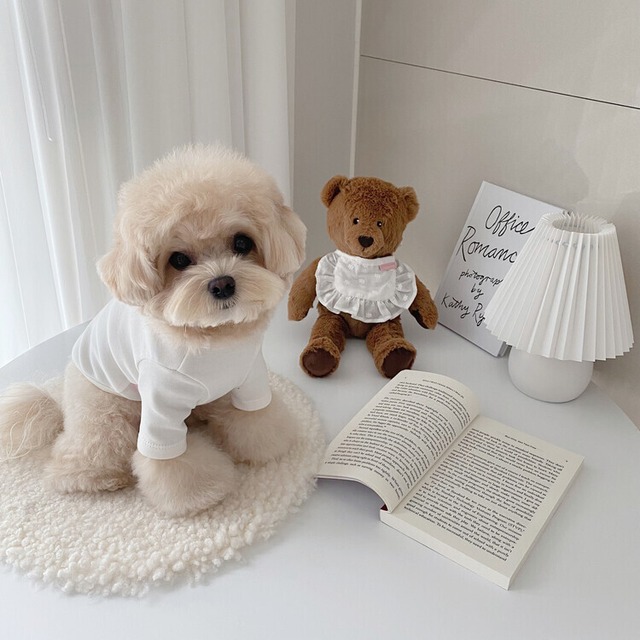 【即納】[cheese n mood]チーズインナーTシャツ