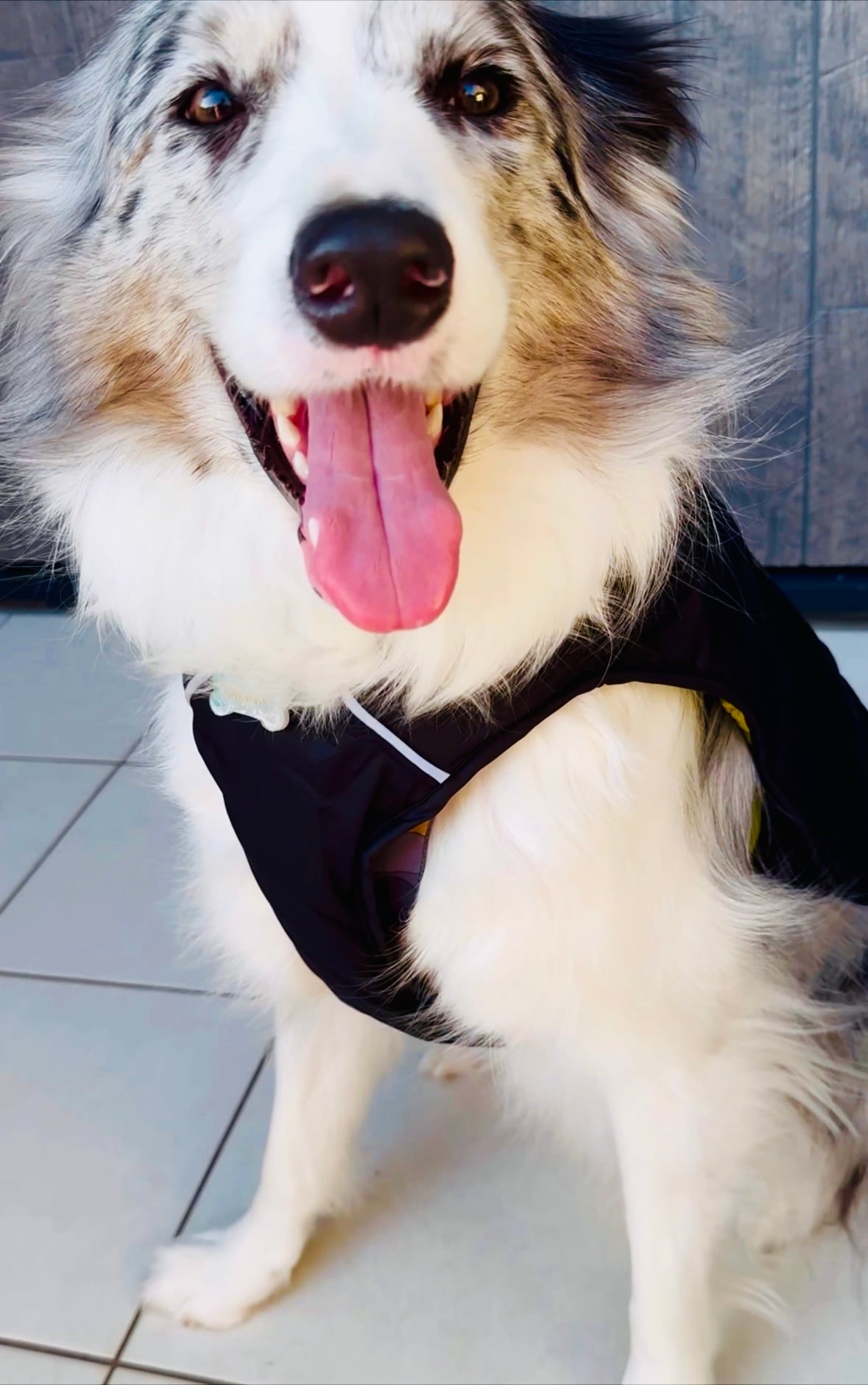 db62dbdda828a67d4bcd91b565ea93