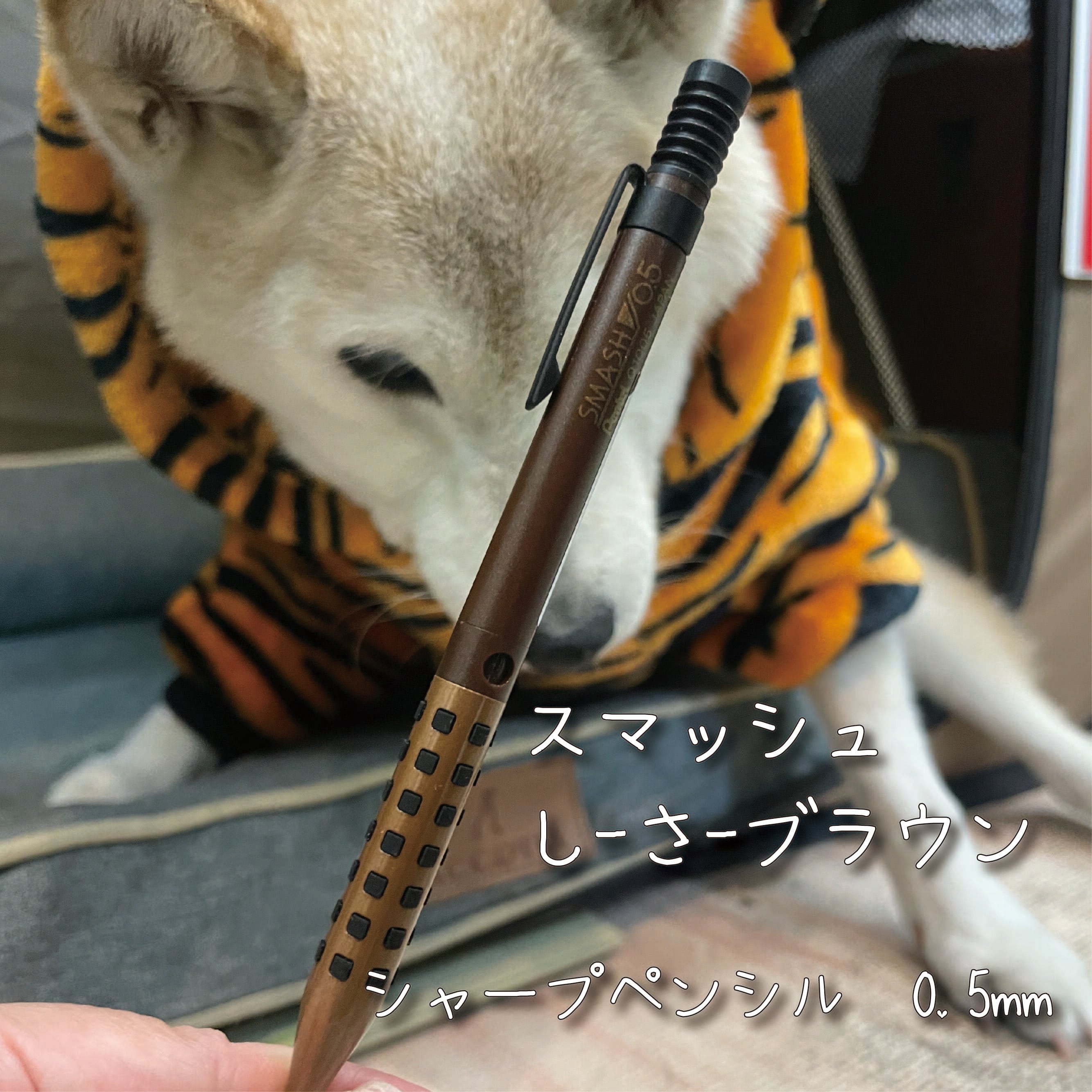 キテラ スマッシュ しーさーブラウン 0.5mm | 看板犬のいる文具屋さん