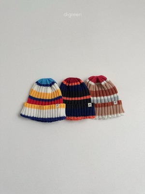 《予約/送料無料》multi beanie / digreen