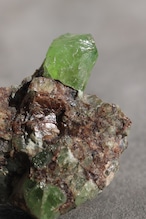 ペリドット「新緑の息吹」Peridot|天然石 原石 鉱物 パワーストーン | PD-H-002