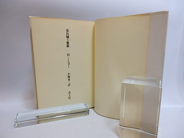 荒れ騒ぐ無限 / アンリ・ミショー 小海永二訳 [29089] | 書肆田高