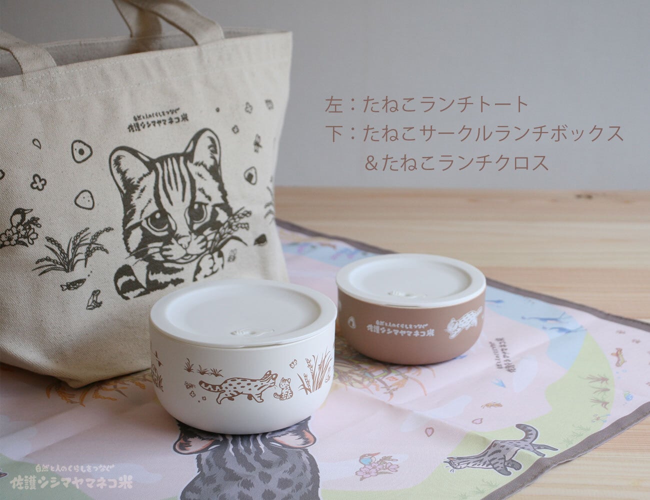 たねこサークルランチボックス2個セット | サステナブルショップ・ミット たねこサークルランチボックス2個セット | サステナブルショップ・ミット