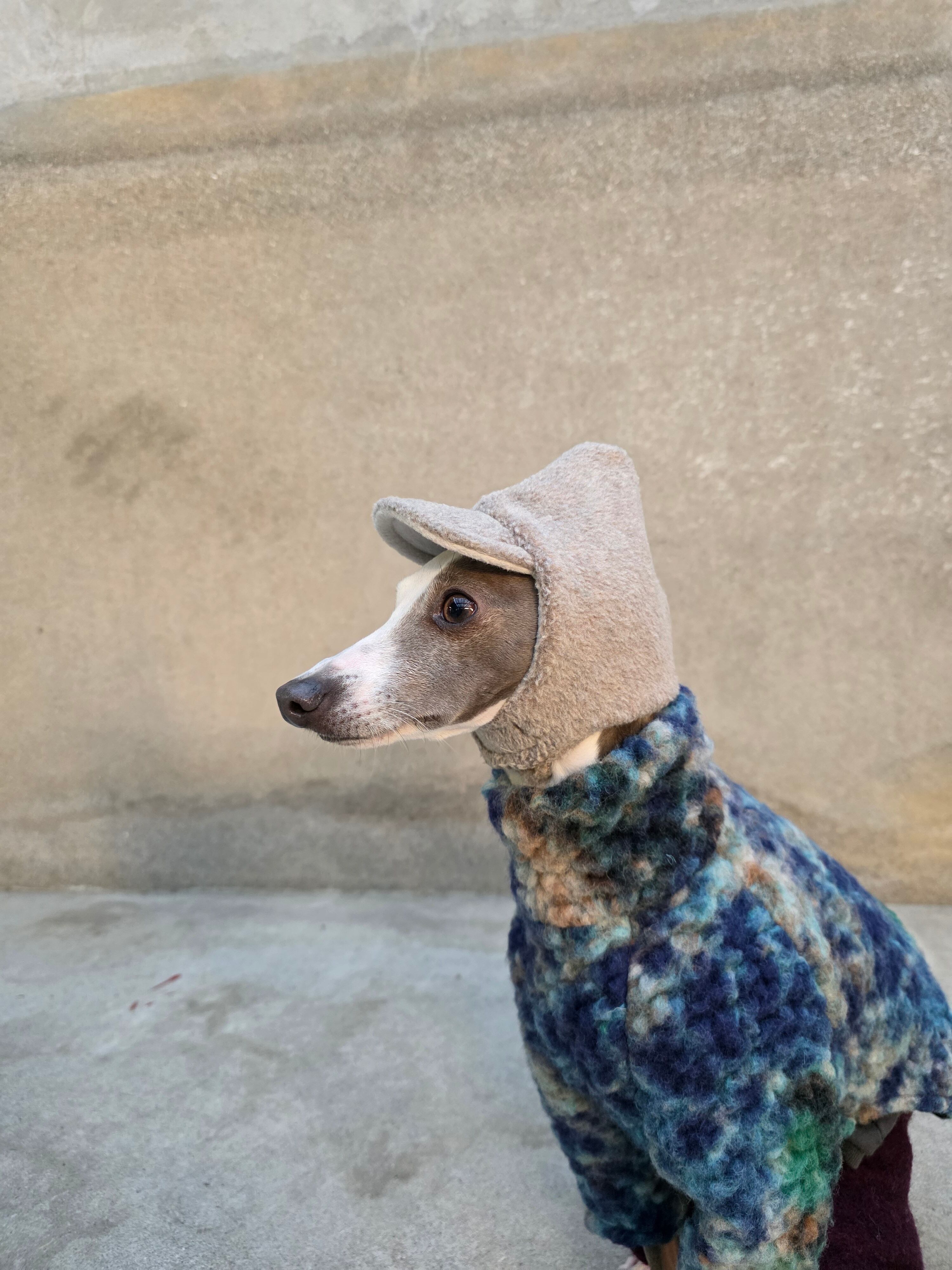 Pixie Cap moca | bacio