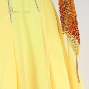 社交ダンス 衣装 クリスアン chrisanne ロビンフッド ROBINHOOD スタンダードドレス ワンピース ドレス イエロー系 オレンジ系 黄色 オレンジ フロート レース デモ 競技 ダンス パーティ 発表会 競技用ドレス デモ用衣装 キラキラ ビジュー