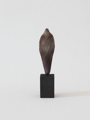 Olectronica  |  5. Untitled - Cedar wood