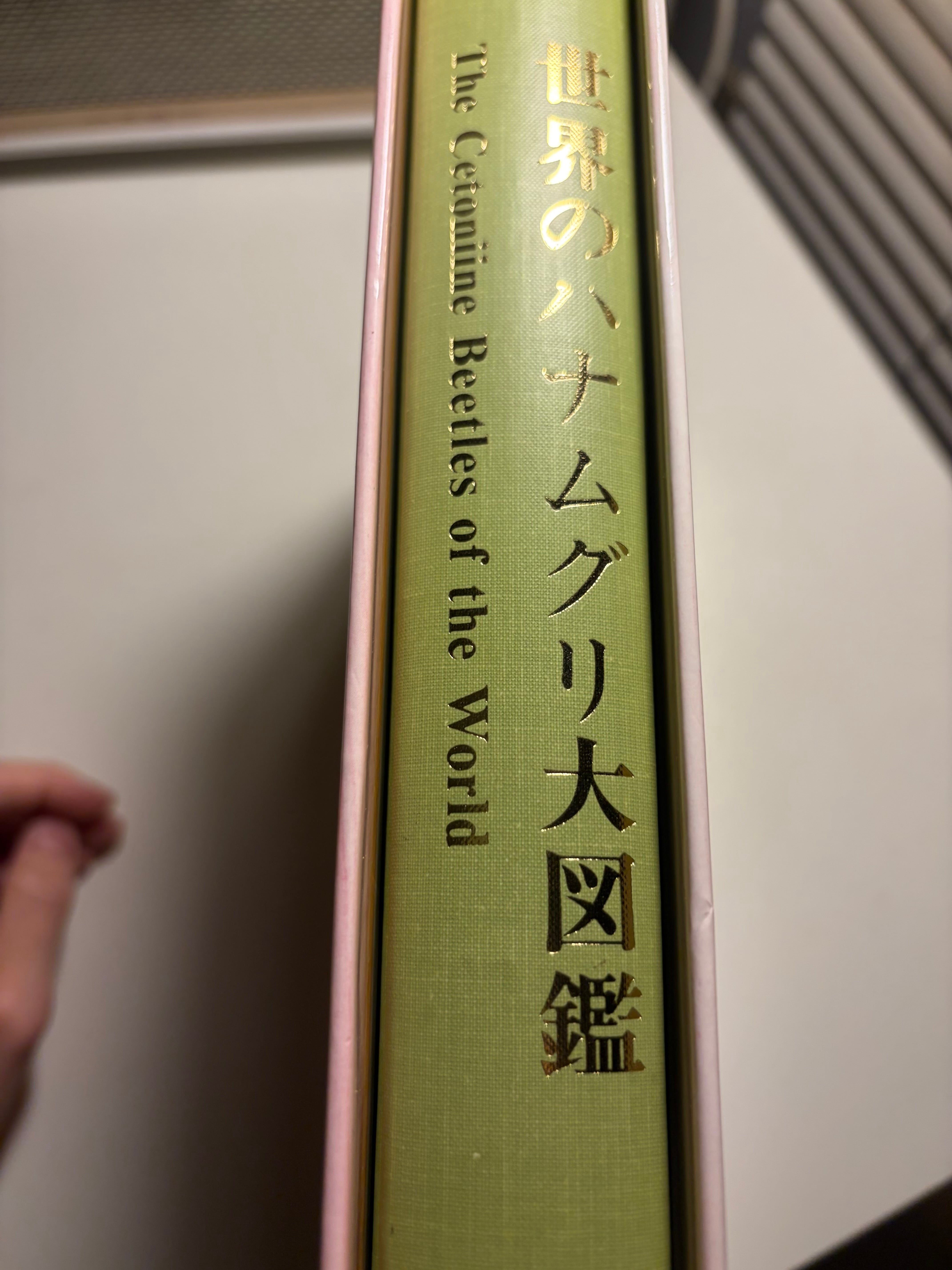 美品】世界のハナムグリ大図鑑酒井香, 永井信二著（月刊むし・昆虫大
