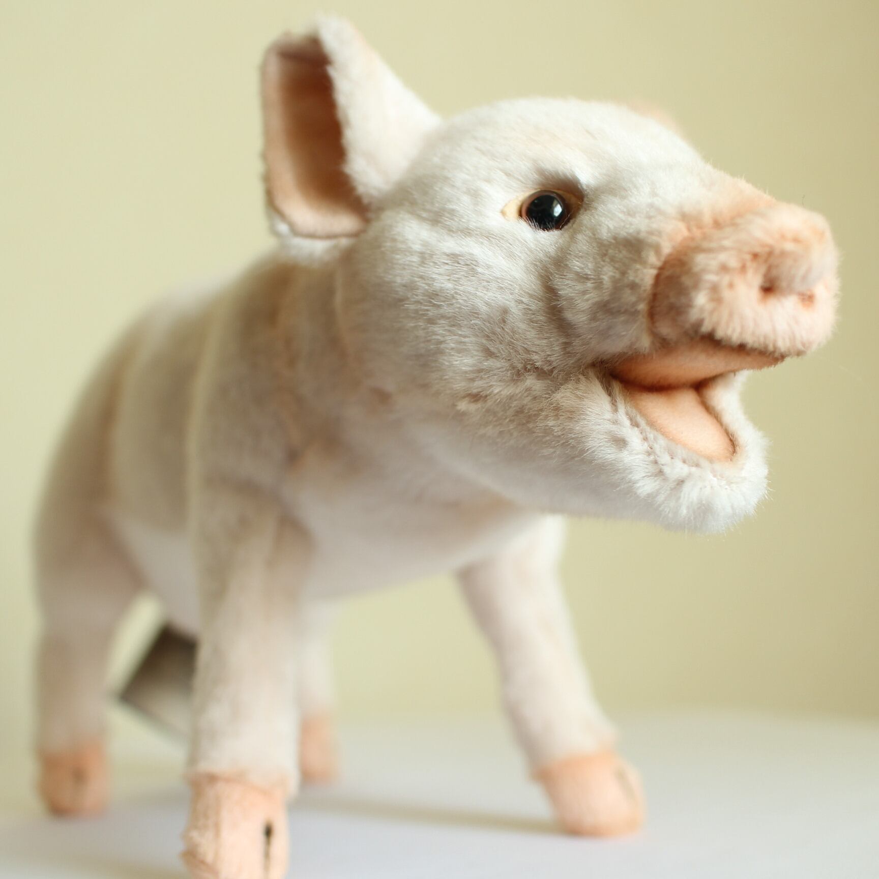 ハンサ オカピ 71SAv3Chw-L._AC_UF350,