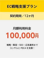 EC戦略支援プラン