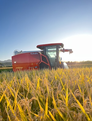 定期便　毎月1回お届け　特別權之丞米【減農薬まっしぐら】白米5kg