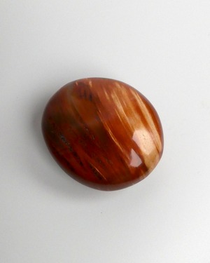 Petrified Wood ペトリファイドウッド ⭓ 珪化木 ⭔ GUARDIAN 握り石・守護石