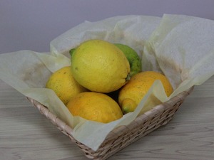 とよしまレモン＜農薬不使用＞（1kg）