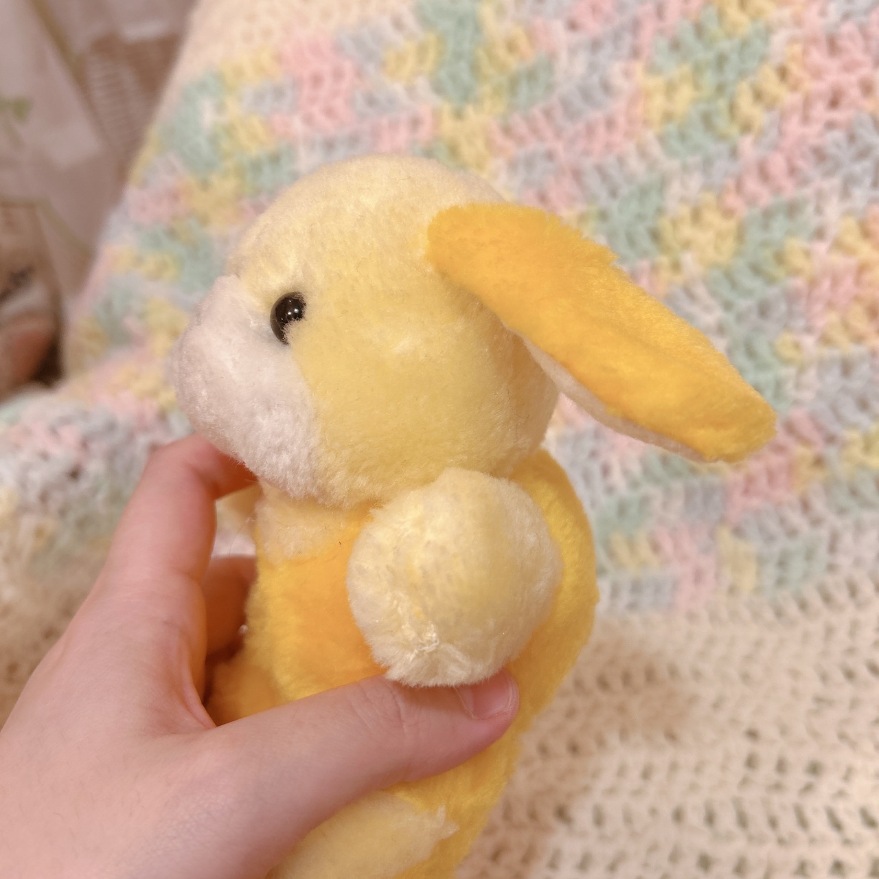 yellow dogの画像03