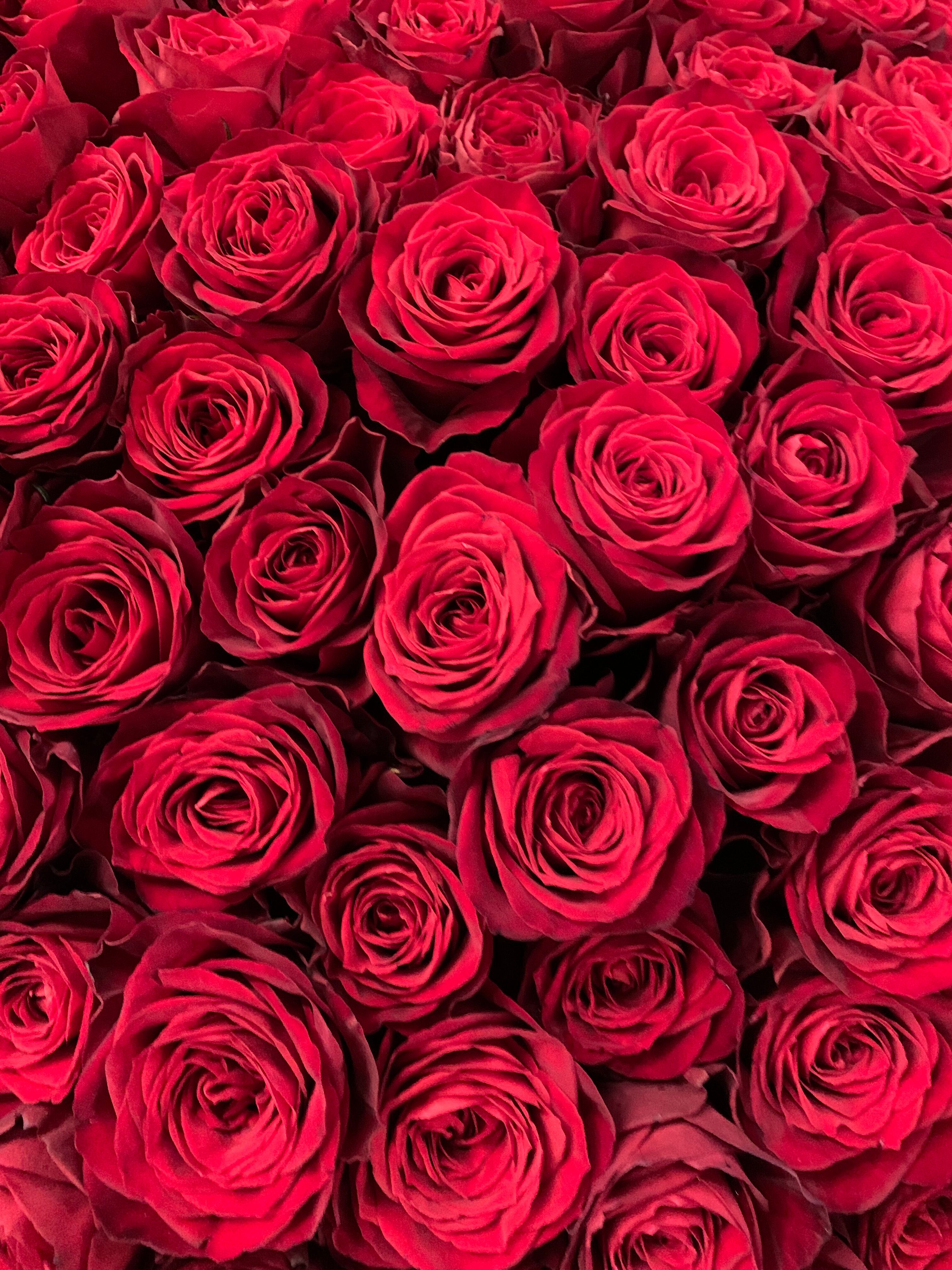 プレミアム 花束 赤薔薇 100本 生誕 祝い花 サプライズ バラ Florist Lulu Flower ルルフラワー オンラインストア