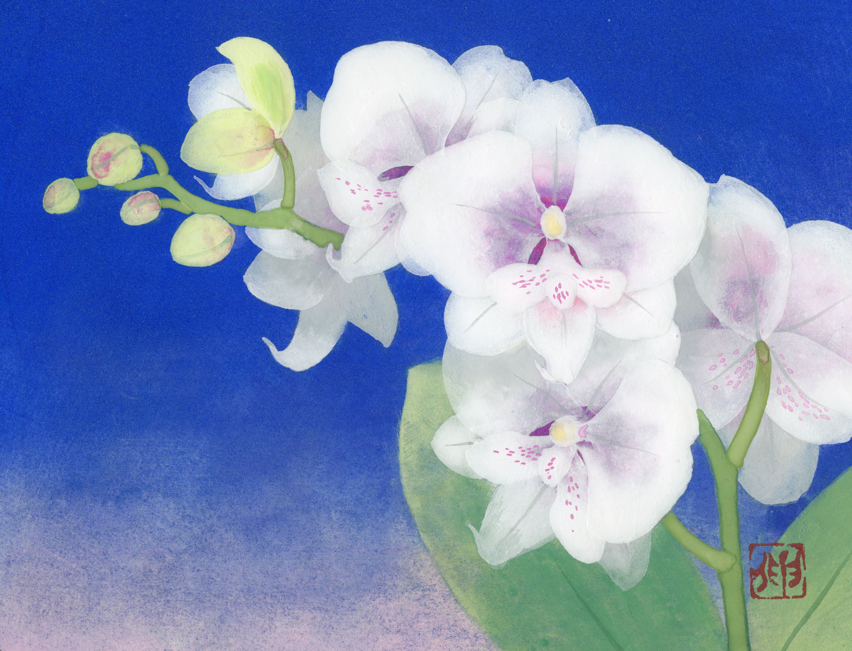 クレマチス（日本画）Clematis | 牧野伸英の日本画ショップ -Nobuhide