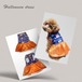 ☆送料無料☆ハロウィンドレス　ワンピース　イベント　かわいい　犬服　猫服　チュールドレス　オレンジ　ドッグウェア　PAA0093