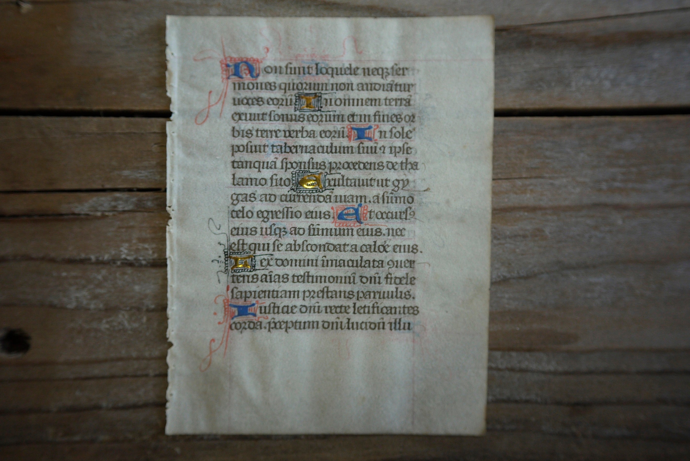 15世紀 フランス 時祷書 零葉 装飾写本 羊皮紙