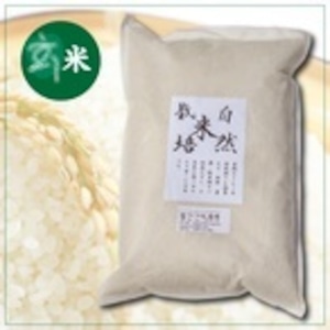 自然栽培コシヒカリ　玄米