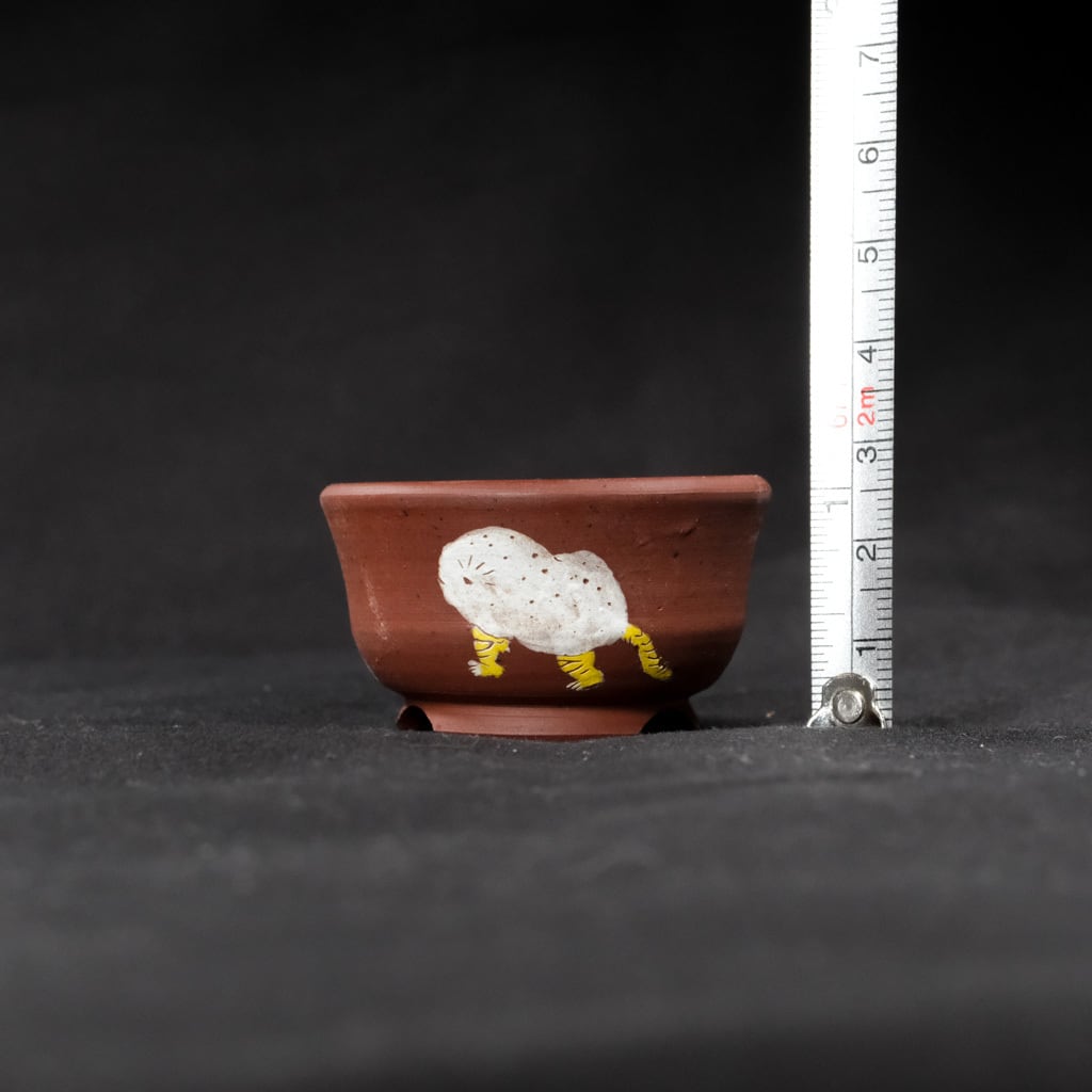 Q豆鉢 虎子石 | bonsaiQ store