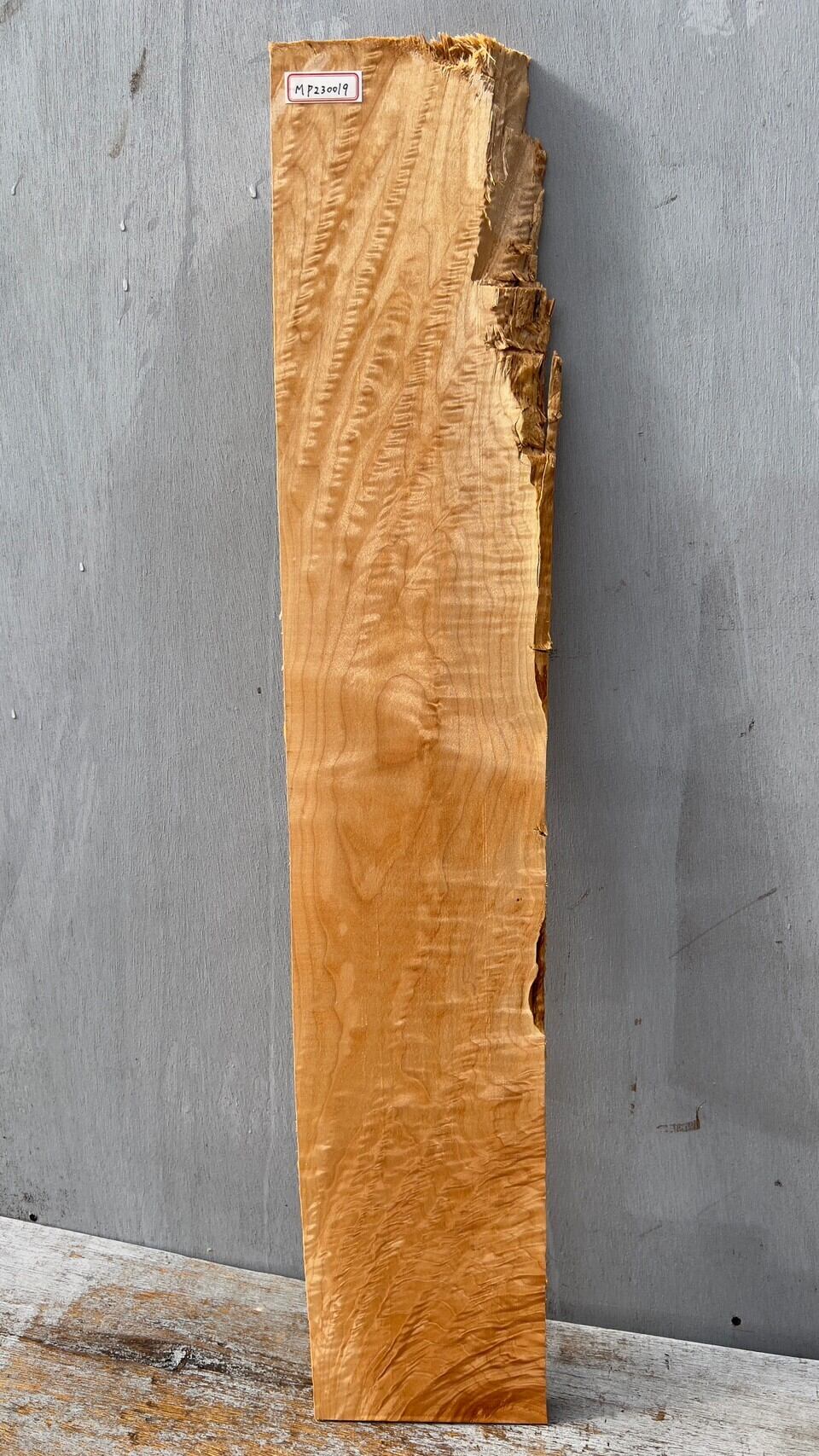 Quilted Maple】キルテッドメイプル | automnforest workshop
