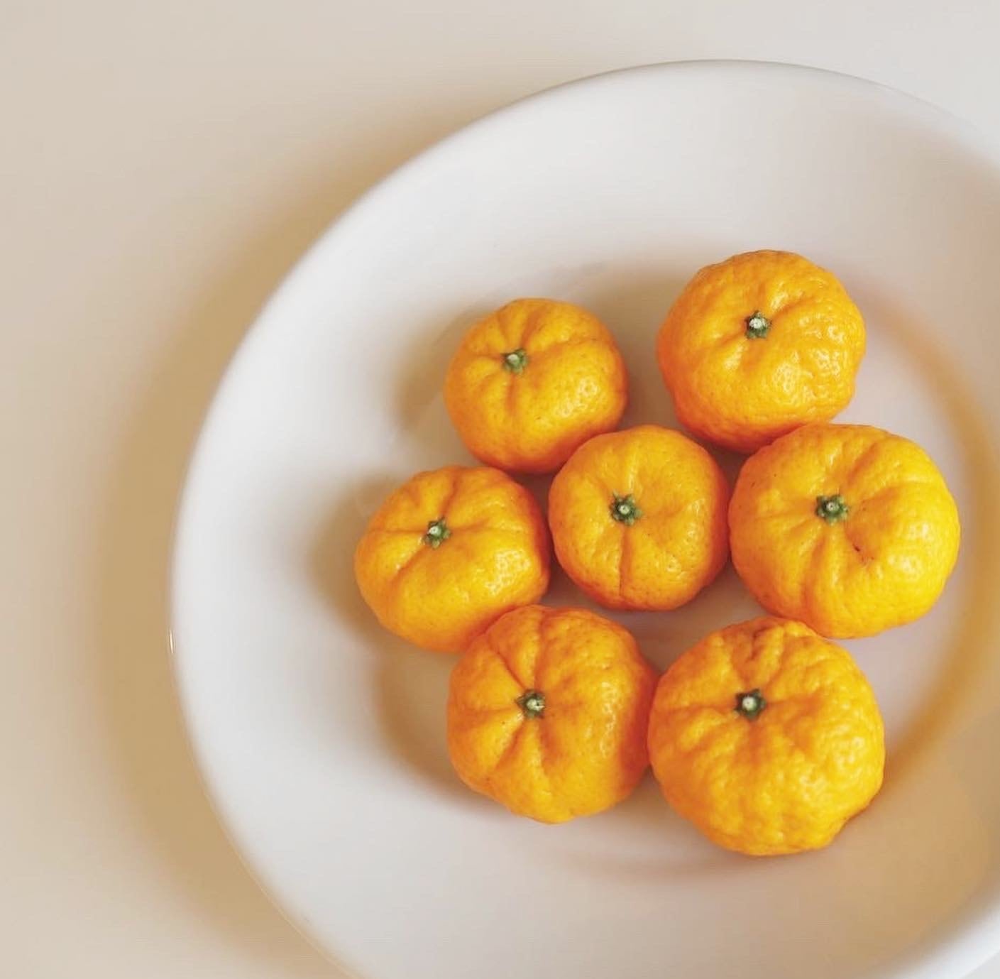 大和橘果実1kg（農薬不使用） | なら橘プロジェクト推進協議会