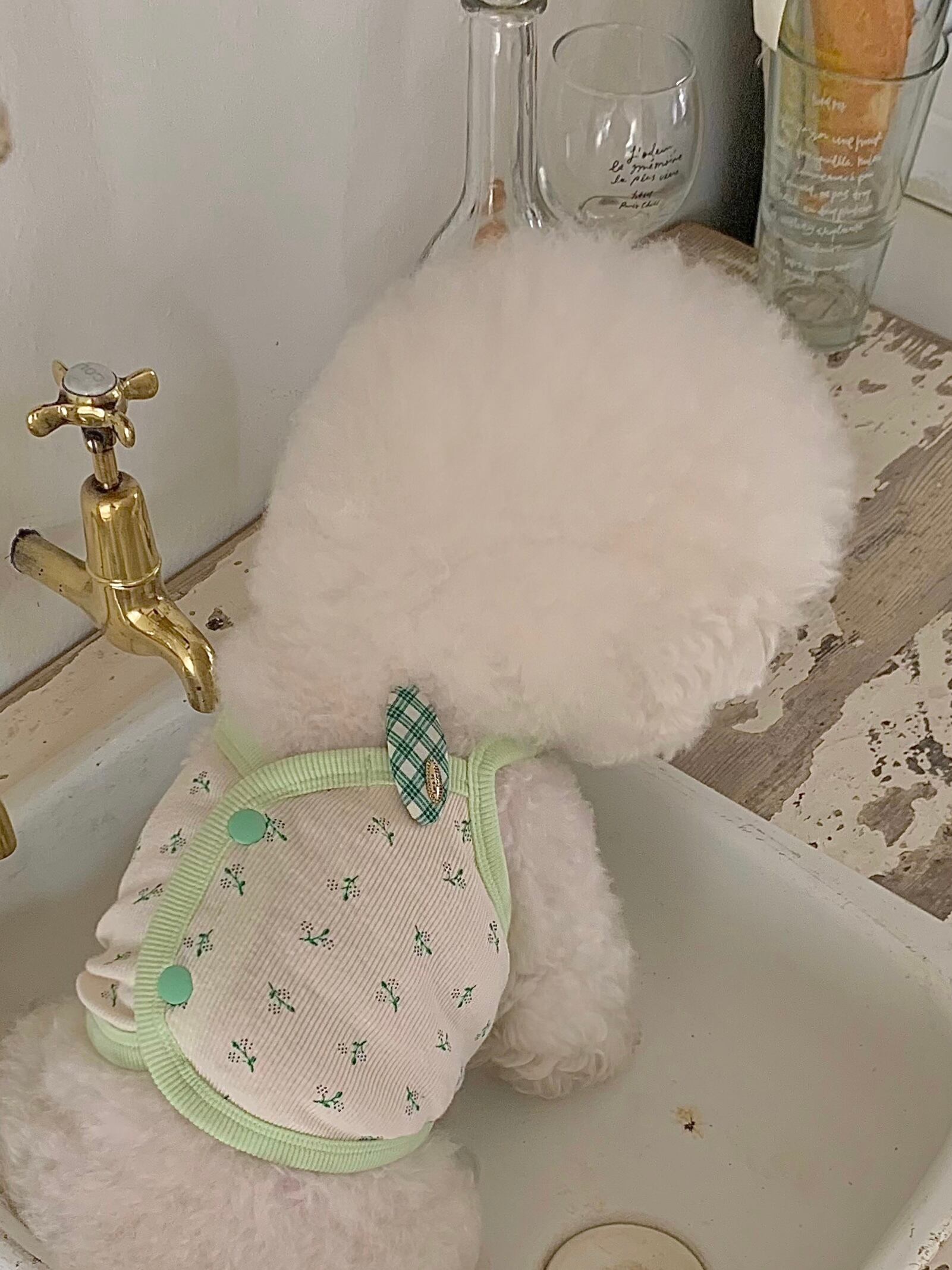 【seenii】pipo! crop top (Green)