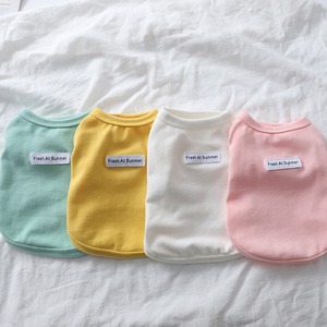 【PET】明るい春色のシンプルTシャツ