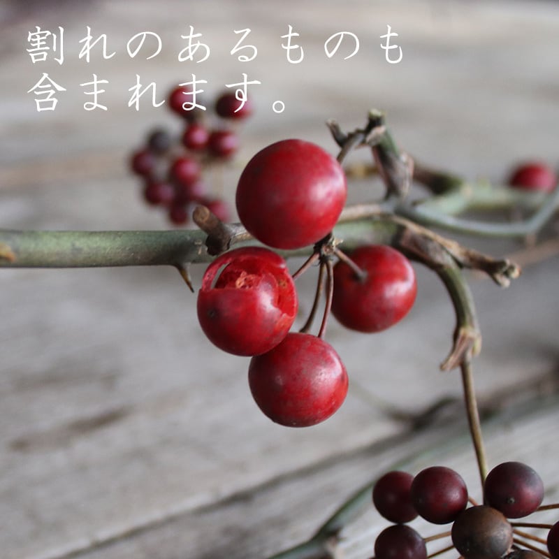 サンキライの実/ドライフラワー | 富良野 花七曜 | ドライフラワー