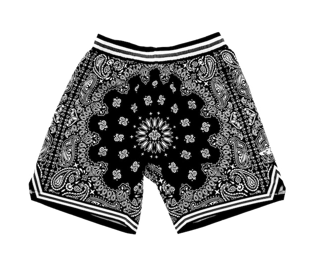Zip Shorts / paisley
